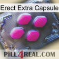 Erect Extra Capsule 02